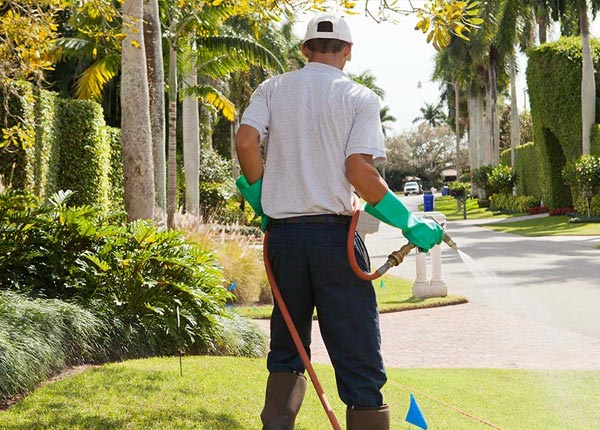 About Ardmore AL Pest Control